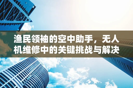 渔民领袖的空中助手，无人机维修中的关键挑战与解决方案