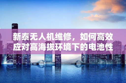 新泰无人机维修，如何高效应对高海拔环境下的电池性能下降问题？