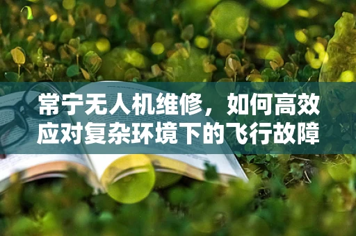 常宁无人机维修，如何高效应对复杂环境下的飞行故障？