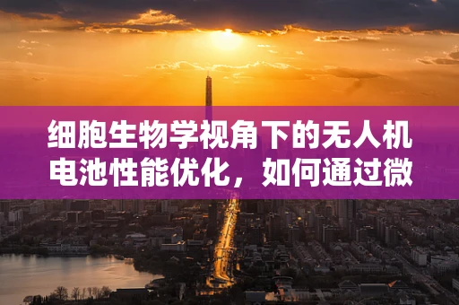 细胞生物学视角下的无人机电池性能优化，如何通过微观结构提升续航？