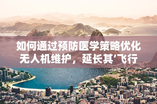 如何通过预防医学策略优化无人机维护，延长其‘飞行寿命’？