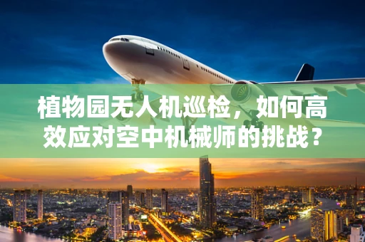 植物园无人机巡检，如何高效应对空中机械师的挑战？