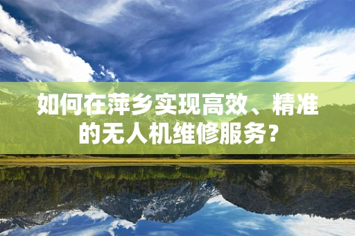 如何在萍乡实现高效、精准的无人机维修服务？