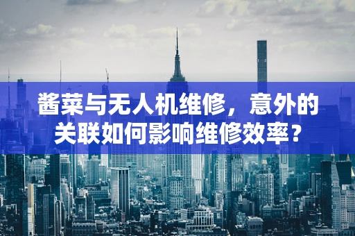 酱菜与无人机维修，意外的关联如何影响维修效率？