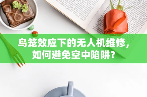 鸟笼效应下的无人机维修，如何避免空中陷阱？