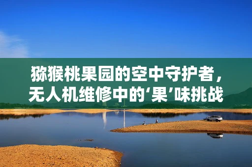 猕猴桃果园的空中守护者，无人机维修中的‘果’味挑战