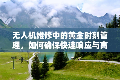 无人机维修中的黄金时刻管理，如何确保快速响应与高效修复？