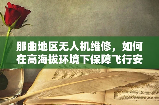那曲地区无人机维修，如何在高海拔环境下保障飞行安全？