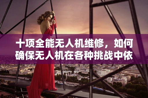 十项全能无人机维修，如何确保无人机在各种挑战中依然翱翔？