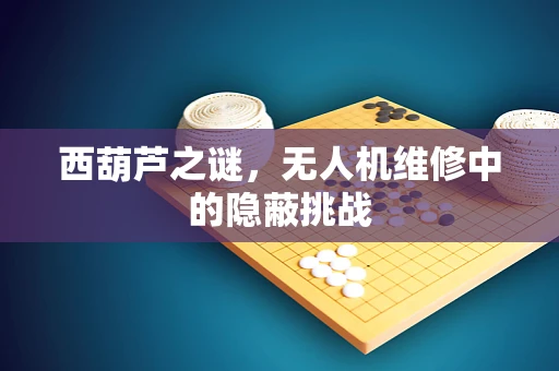 西葫芦之谜，无人机维修中的隐蔽挑战