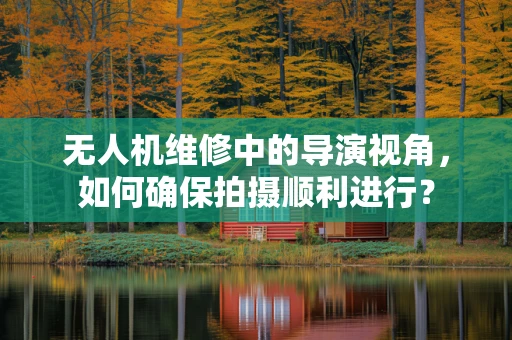 无人机维修中的导演视角，如何确保拍摄顺利进行？