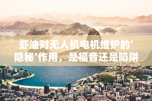 虾油对无人机电机维护的‘隐秘’作用，是福音还是陷阱？