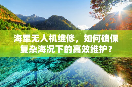 海军无人机维修，如何确保复杂海况下的高效维护？