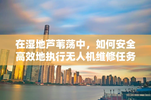 在湿地芦苇荡中，如何安全高效地执行无人机维修任务？