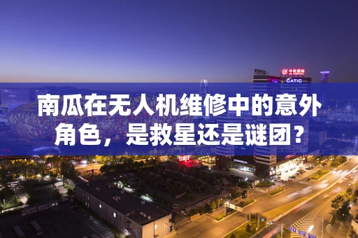 南瓜在无人机维修中的意外角色，是救星还是谜团？