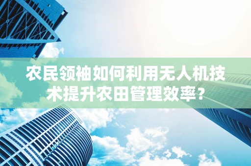 农民领袖如何利用无人机技术提升农田管理效率？