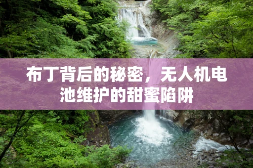 布丁背后的秘密，无人机电池维护的甜蜜陷阱