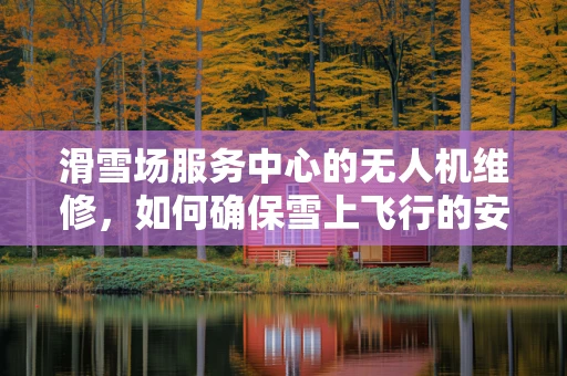 滑雪场服务中心的无人机维修，如何确保雪上飞行的安全？