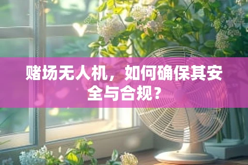 赌场无人机，如何确保其安全与合规？