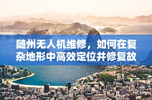 随州无人机维修，如何在复杂地形中高效定位并修复故障？