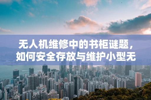 无人机维修中的书柜谜题，如何安全存放与维护小型无人机？