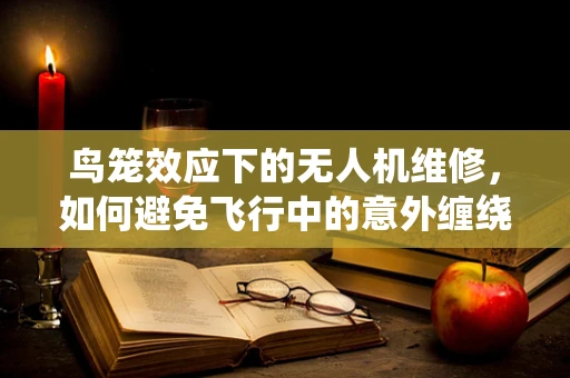 鸟笼效应下的无人机维修，如何避免飞行中的意外缠绕？