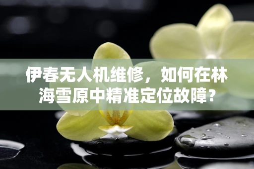 伊春无人机维修，如何在林海雪原中精准定位故障？