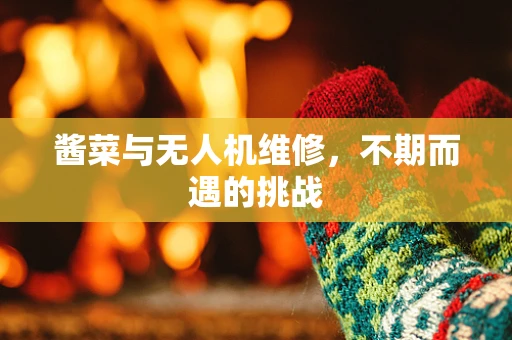 酱菜与无人机维修，不期而遇的挑战
