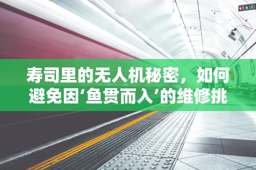 寿司里的无人机秘密，如何避免因‘鱼贯而入’的维修挑战？