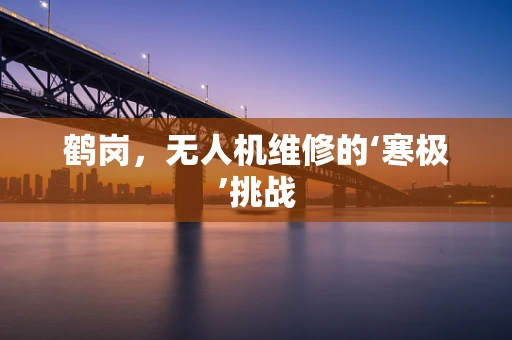 鹤岗，无人机维修的‘寒极’挑战