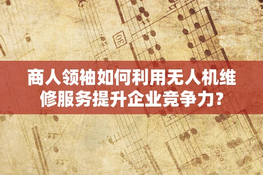 商人领袖如何利用无人机维修服务提升企业竞争力？