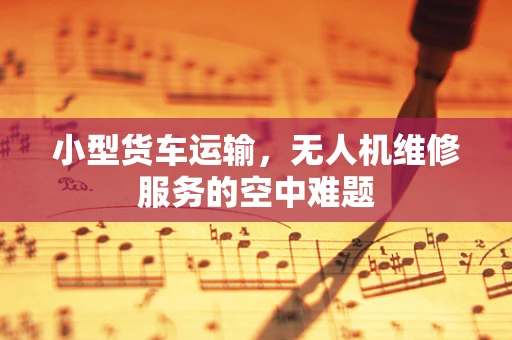 小型货车运输，无人机维修服务的空中难题