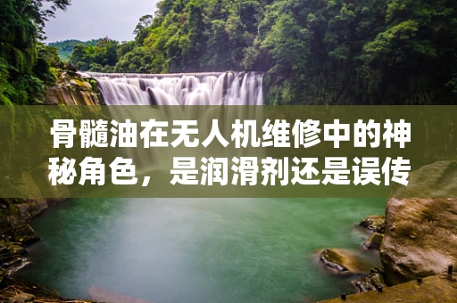 骨髓油在无人机维修中的神秘角色，是润滑剂还是误传？