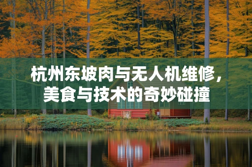 杭州东坡肉与无人机维修，美食与技术的奇妙碰撞