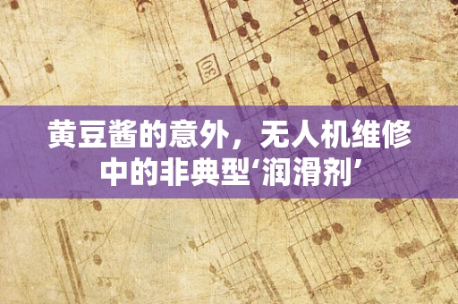 黄豆酱的意外，无人机维修中的非典型‘润滑剂’