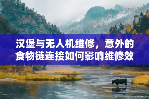 汉堡与无人机维修，意外的食物链连接如何影响维修效率？