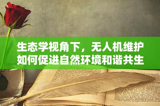 生态学视角下，无人机维护如何促进自然环境和谐共生？