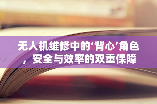 无人机维修中的‘背心’角色，安全与效率的双重保障