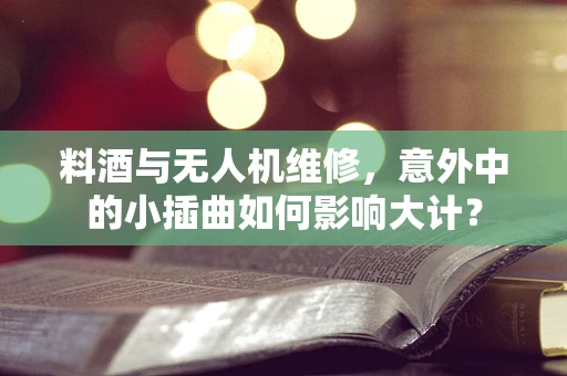 料酒与无人机维修，意外中的小插曲如何影响大计？