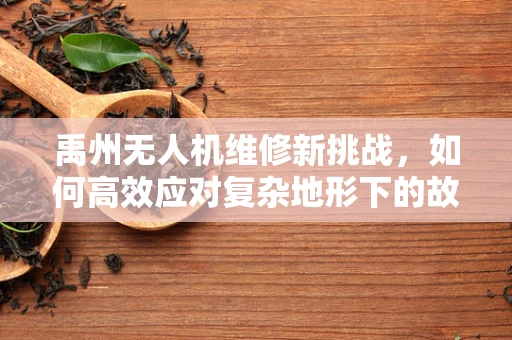 禹州无人机维修新挑战，如何高效应对复杂地形下的故障诊断？