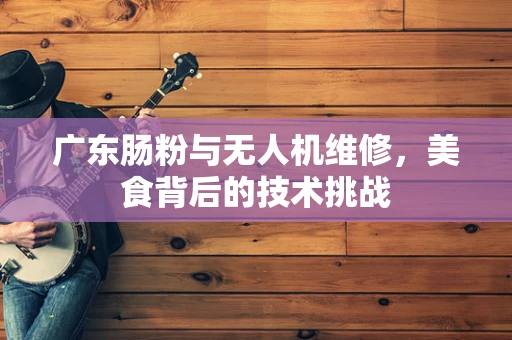 广东肠粉与无人机维修，美食背后的技术挑战