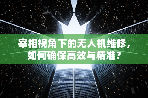 宰相视角下的无人机维修，如何确保高效与精准？