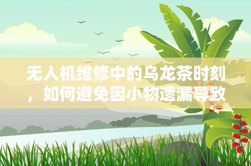 无人机维修中的乌龙茶时刻，如何避免因小物遗漏导致的重大故障？