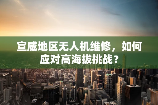 宣威地区无人机维修，如何应对高海拔挑战？
