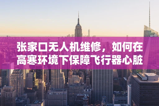 张家口无人机维修，如何在高寒环境下保障飞行器心脏健康？