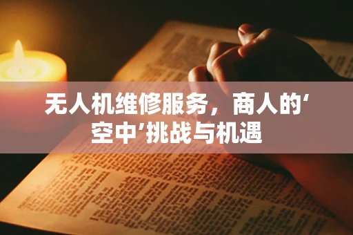 无人机维修服务，商人的‘空中’挑战与机遇