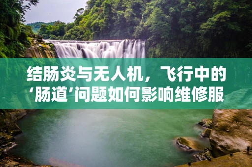 结肠炎与无人机，飞行中的‘肠道’问题如何影响维修服务？