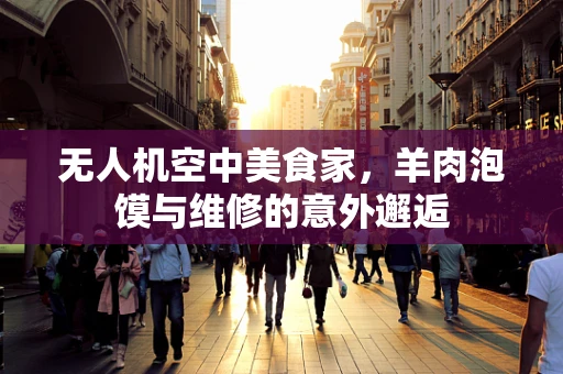 无人机空中美食家，羊肉泡馍与维修的意外邂逅