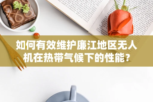 如何有效维护廉江地区无人机在热带气候下的性能？