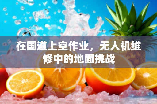 在国道上空作业，无人机维修中的地面挑战